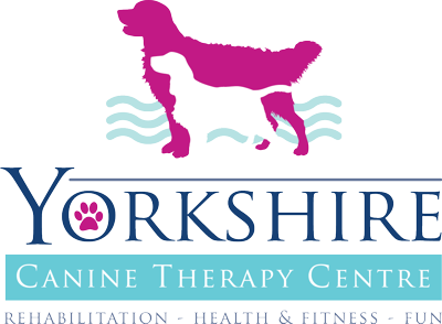 Home - Yorkshire Canine Therapy Centre
